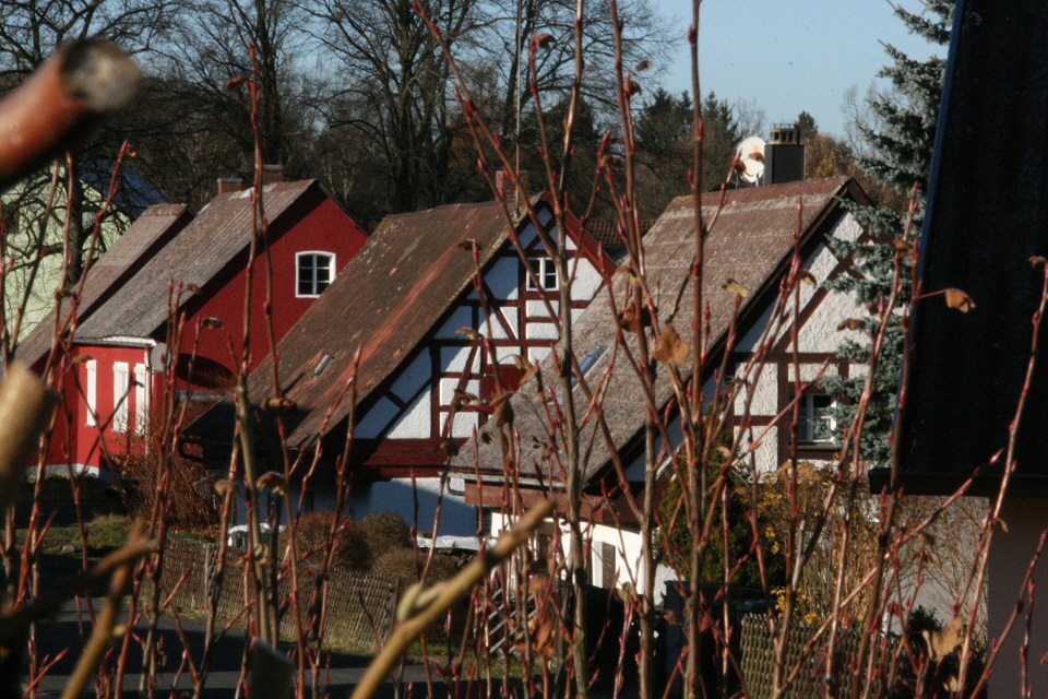 2016-11-29 Husln @ EG Ort - Foto Carlo Wanka