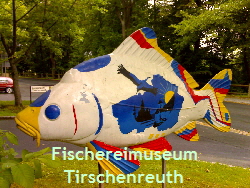 Karpfen-05-07-07_1626