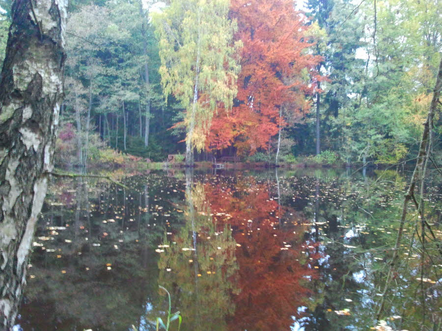 Farbspiel am Forellenweiher