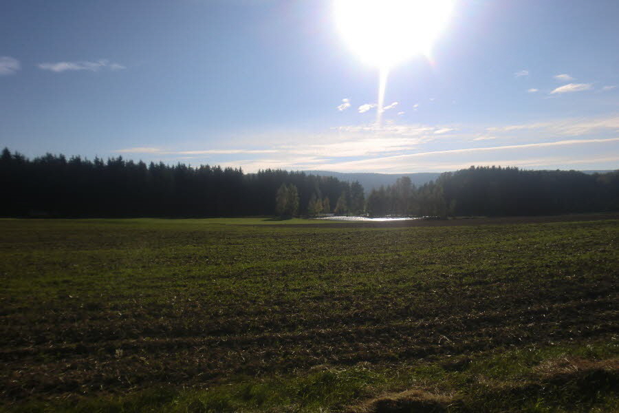 Impresion der Septembersonne