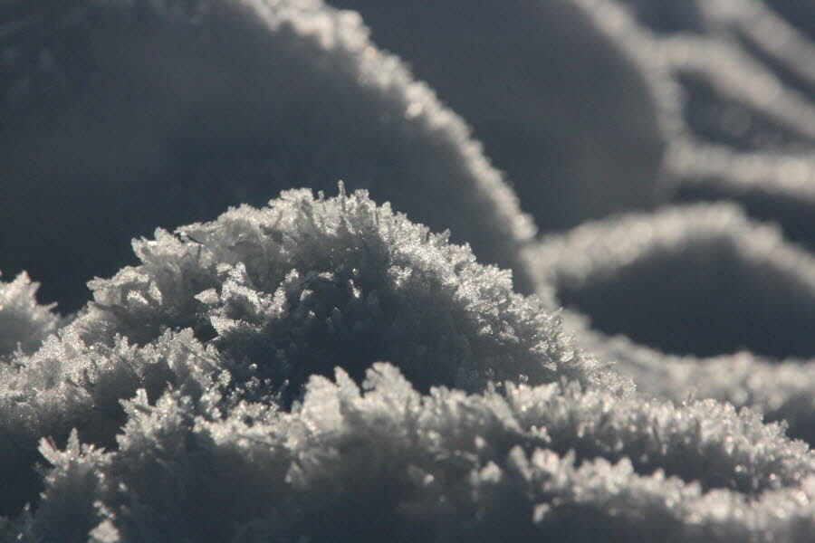 Schneekristalle